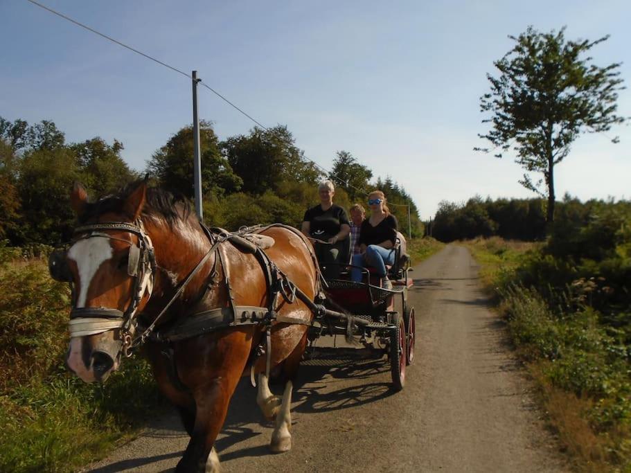 Gite : La Cochetiere : Ancienne Ferme 18Eme Villa Le Grais Luaran gambar