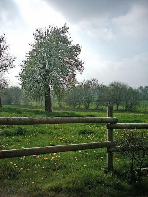 Gite : La Cochetiere : Ancienne Ferme 18Eme Villa Le Grais Luaran gambar